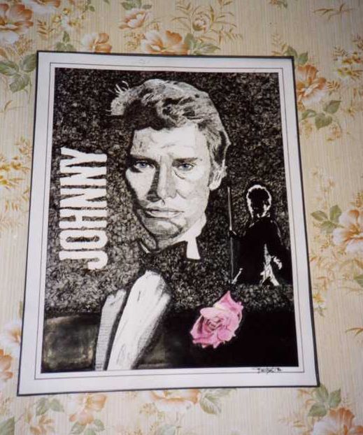 JOHNNY HALLIDAY NOIR C EST NOIR johnny halliday noir c est noir:
